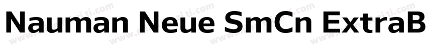 Nauman Neue SmCn ExtraBold字体转换